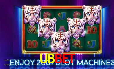 Promoção Relâmpago UBBet